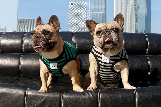 iChoue English Bulldog 100% Breathable Cotton Striped T Shirts Halloween Vest Clothes for Medium Dogs Tank Tops French Frenchie Pug Boston Terrier Pitbull Green Black Stripes - XXLarge