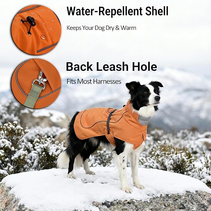 Softshell Dog Coat for Winter Walks and Hiking, Windproof and Water-Repellent Jacket with Harness Opening and Reflective Strips, Ideal Stocking Stuffer for Active Dogs (Aurantium, Large)