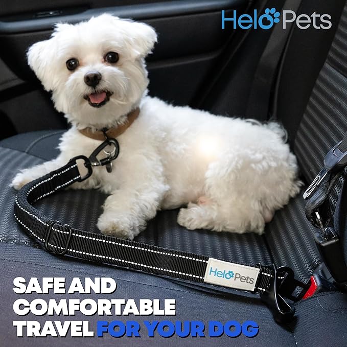 Dog Car Seat Belt 3-in-1 Adjustable Safety Seatbelt for Dogs in Car – Durable Extra Thick Nylon Webbing Bungee with Hook & Buckle Latch, Reflective Dog Harness (Black).