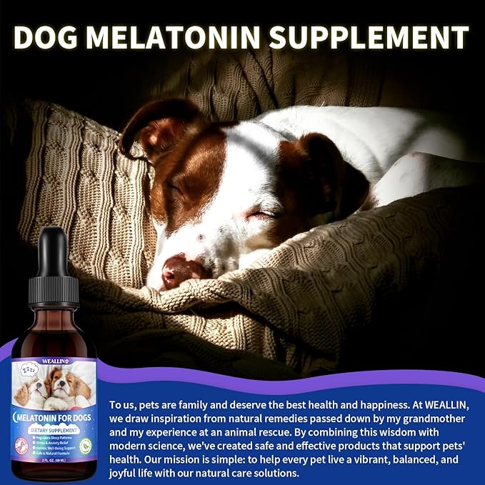 Melatonin for Dogs with L-Theanine & Chamomile | Anxiety Relief & Calming, Relaxation & Sleep Support Liquid Dog Melatonin | Fast-Absorbing & Bacon Flavor (2 PCS)