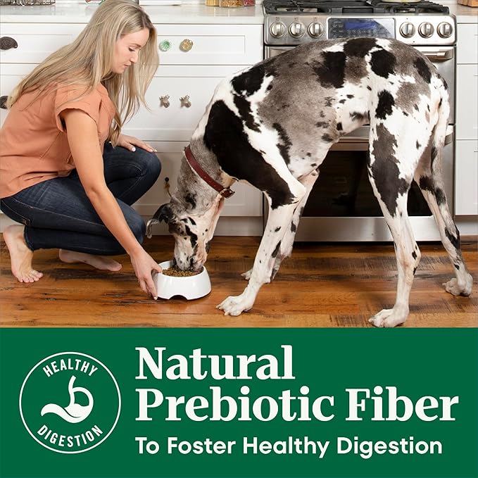 Nutro Natural Choice Adult Dry Dog Food, Chicken & Brown Rice Recipe, 13 lb. Bag