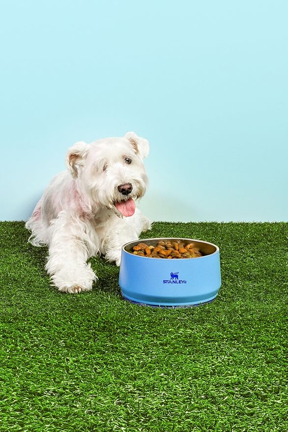 STANLEY Pet Bowl | 6-Cup (48 oz) Insulated Stainless Steel Dog & Cat Bowl | Splash-Resistant Lid | Dishwasher Safe | BPA-Free | Blue Sky