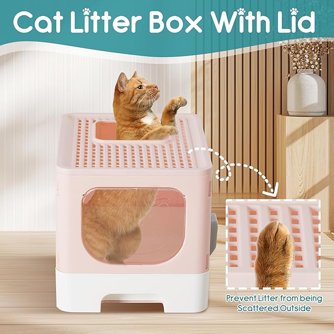 Cat Litter Box with Scoop, Large Foldable Litter Box with Lid & Drawer Tray, Front Visible Entry Top Exit Kitty Box, Odor Control, Easy to Clean