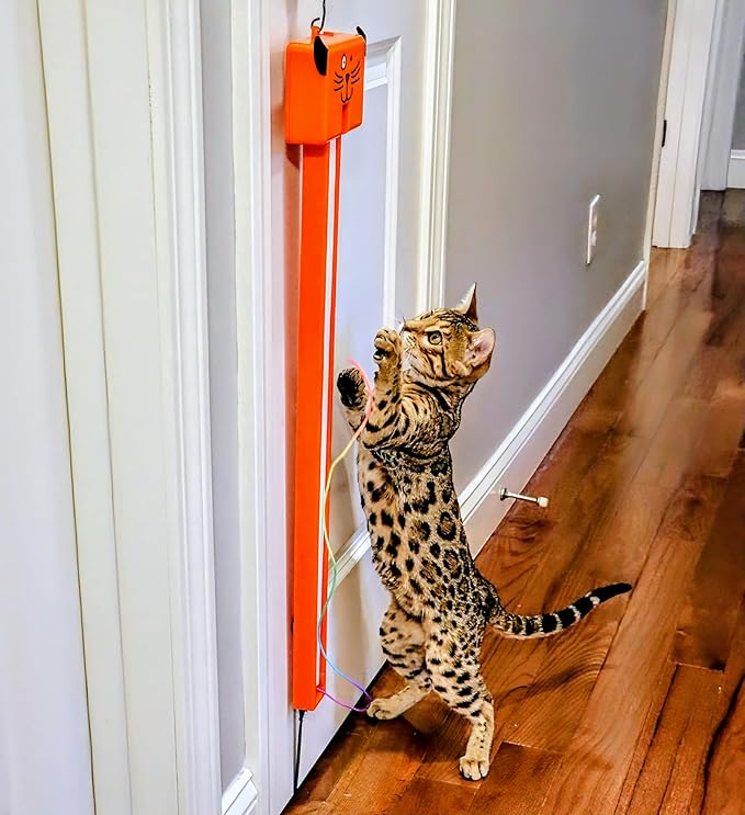MOODY PET Fling-AMA-String Cat Toy