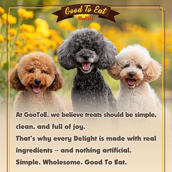 Gootoe Turkey Tendons for Dogs –All-Natural, Hypoallergenic Dog Treats, Rawhide Alternative, Long Lasting Puppy Chews, Healthy Dog Treats for Small Breeds, Ring (S), 6 Count Pack