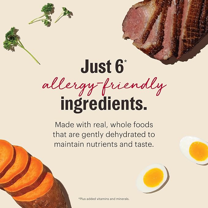 The Honest Kitchen Wholemade™ Dehydrated Limited Ingredient Duck & Sweet Potato Dog Food, 10 lb Box