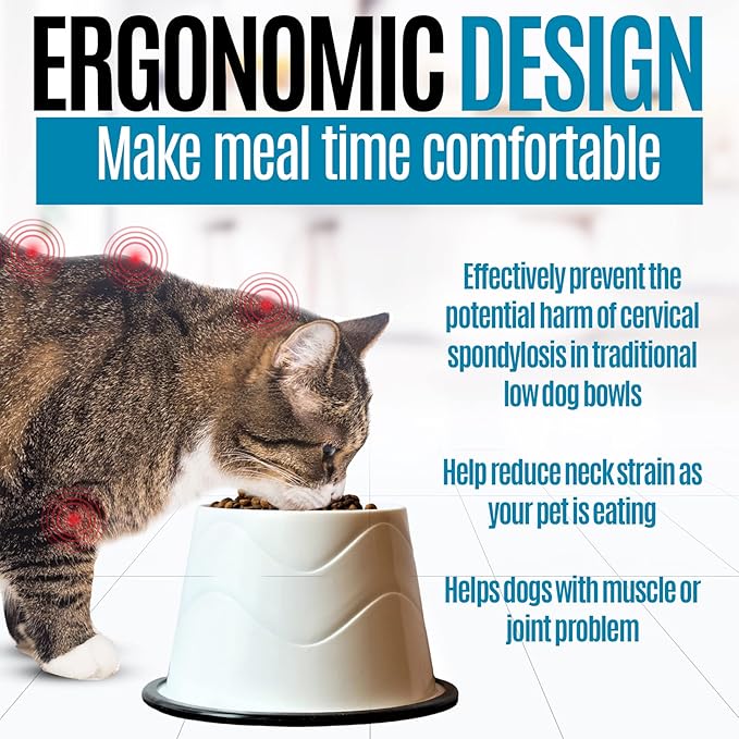No Slip Base Elevated Bowls for Small Dogs and Cats Wearing Cone - Raised Bowls for Dogs and Cats - 2 Pair