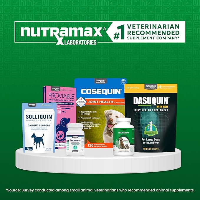 Nutramax Welactin Omega 3 Fish Oil for Dogs, Skin and Coat Health Supplement, Plus Joint, Immune, Kidney, and Brain Support, Premium Omega 3 Fatty Acids, for Dogs, 16 Ounce Liquid (Pack of 3)