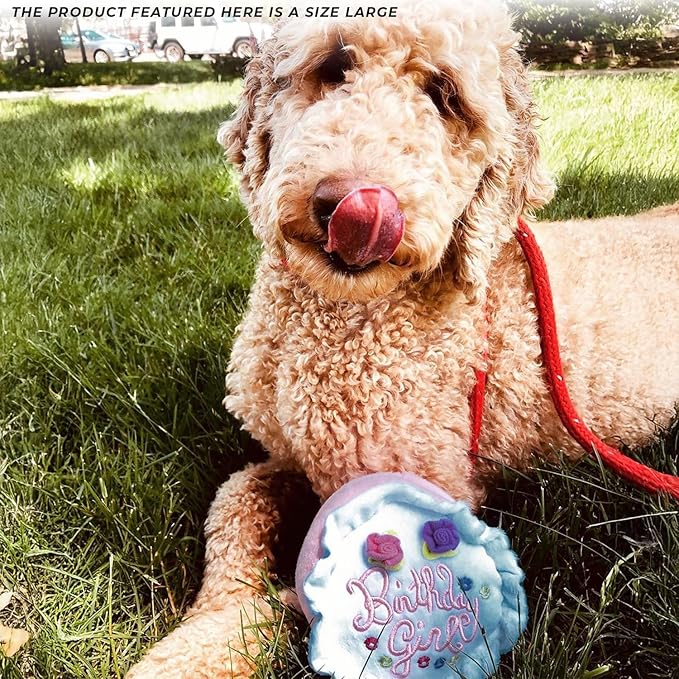 Haute Diggity Dog Birthday Girl Cake, Plush Designer Dog Toys with Interactive Squeaker, Stimulating Pet Enrichment, Machine-Washable & Safe Materials for All Breeds, Size Large