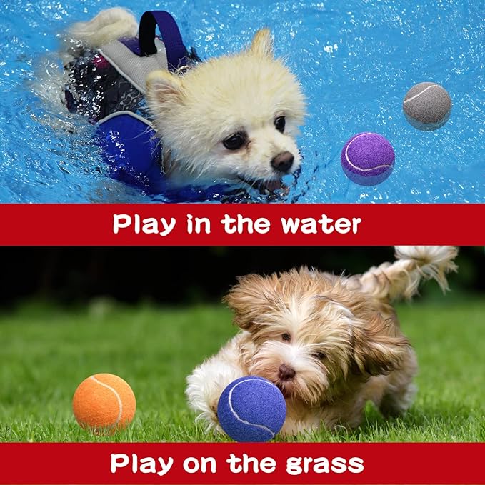 Yunsailing 15 Pcs Dog Tennis Balls Bulk 2.5 Inch Tennis Balls for Dogs Colored Mini Pet Toy Bulk for Large Medium Small Puppy Training Exercis
