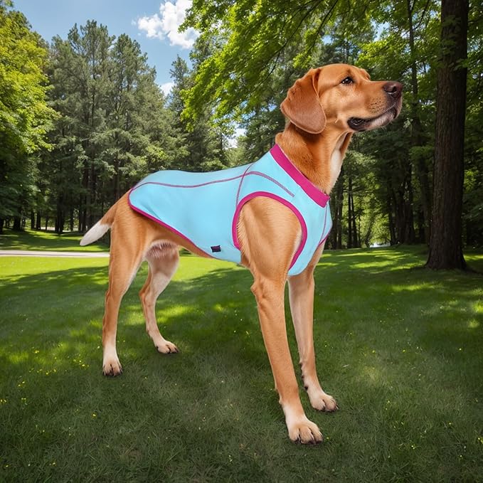 2 Pack Dog Summer Clothes Color Blocking Dog Shirts for Medium/Large Dogs Stretchable Doggy Cooling Vest Breathable Sun Protection Shirt Fashion & Bright Color for Boys Girls