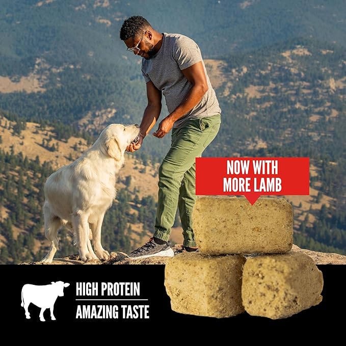 ORIJEN Grain Free High Protein Freeze Dried Dog Treats Regional Red Recipe 3.25oz Bag