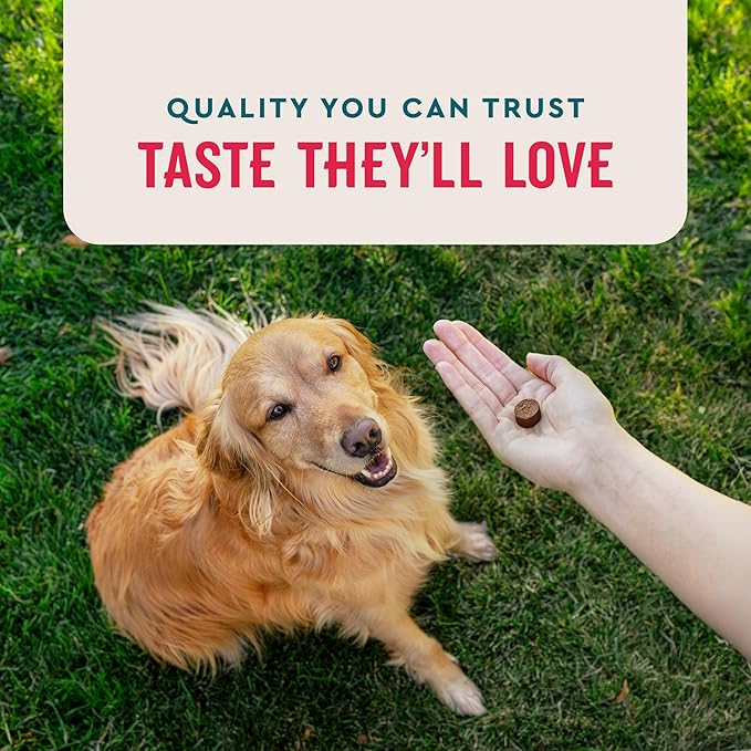 VetIQ 8-in-One Multifunctional Supplement for Dogs, Supports Hip & Joint, Urinary Tract, Immune System, Skin Health and Heart Health, Soft Chews, Made in The USA, (Pack of 120)