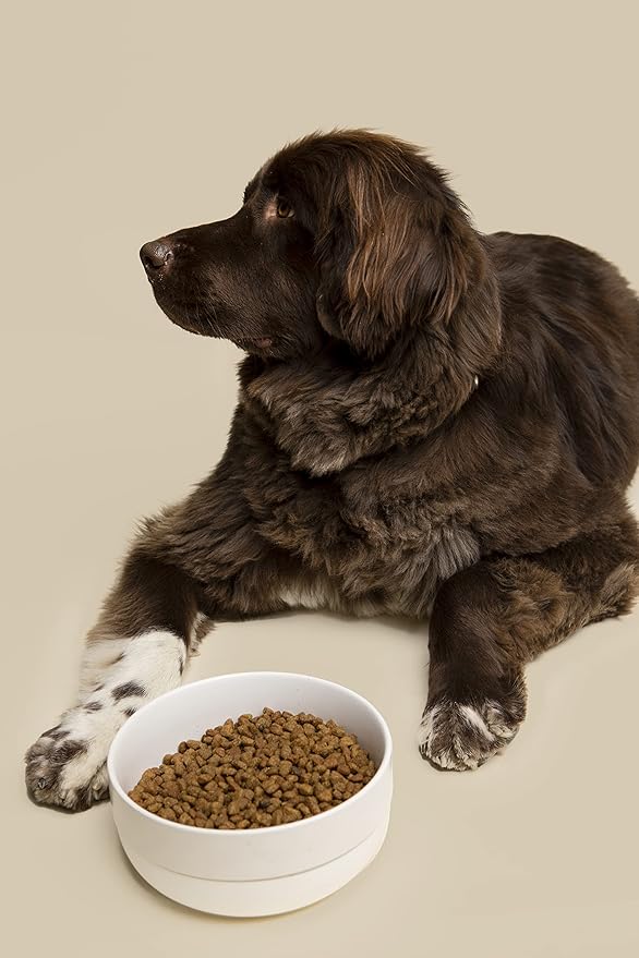 Waggo Ceramic Cling Dog Bowl with Rubber Bottom for Small and Large Breeds - Heavyweight Bowl with Anti-Skid Non Slip Rubber Bottom, Dishwasher Safe (Large, Light Grey)