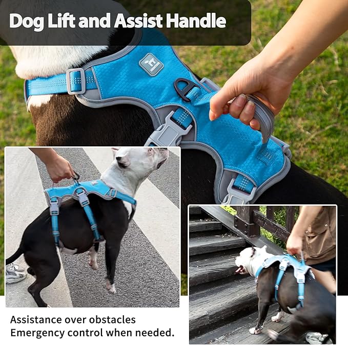 Huntboo Escape Proof Dog Harness, Escape Artist Harness, Reflective Harness with Padded Handle, Breathable, Durable, Adjustable Vest for Medium Dogs Walking, Training, and Running Gear (Blue, L)