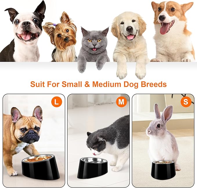 Tilted Dog Bowl Non-Slip & Non-Spill Pet Feeder with Elevated Detachable Melamine Stand, Easy to Get Food Dog Dish, L/300ml Black