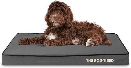 The Dog’s Bed Orthopedic Memory Foam Dog Bed, Medium Grey & Black, Waterproof, Supportive Dog Bed with Replaceable Covers