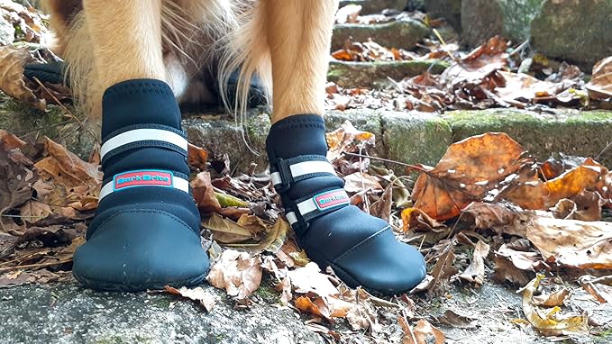 All Weather Neoprene Paw Protector Dog Boots with Reflective Straps in 5 Sizes! (Black Large)