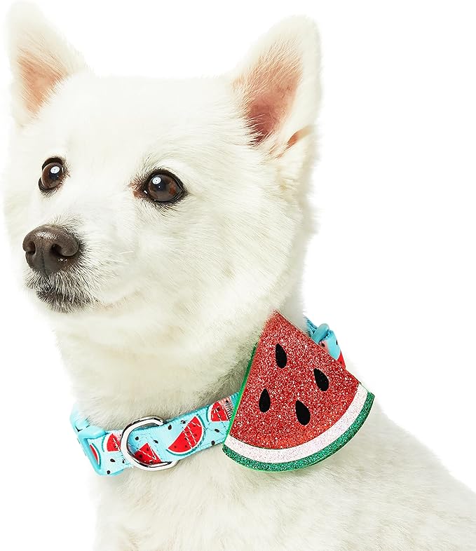 Blueberry Pet Summer Sparkle Dog Collar, Adjustable Small Size, Neck 12"-16", Zesty Fruit Watermelon Blue, Pet Collar with Detachable Accessory
