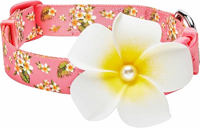 Blueberry Pet Dog Collar, Adjustable Small Dog Collars for Small Dogs, Puppy Collar, Pink Dog Collar with Tropical Flower, Girl Dog Collars, Girl Dog Accessories, Collar for Dogs, 12"-16"