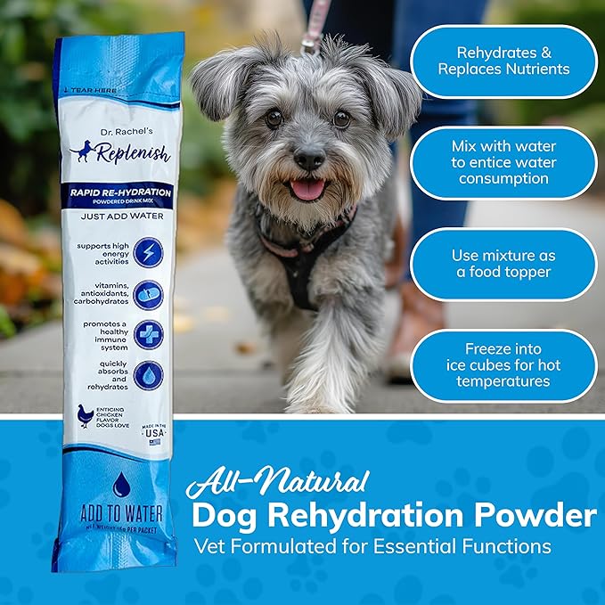 Replenish Dog Recovery Water Supplement – Pedialyte for Dogs Hydration Drink & Water Additive - Electrolytes for Dogs Hydration Supplement – 10 Packets Count