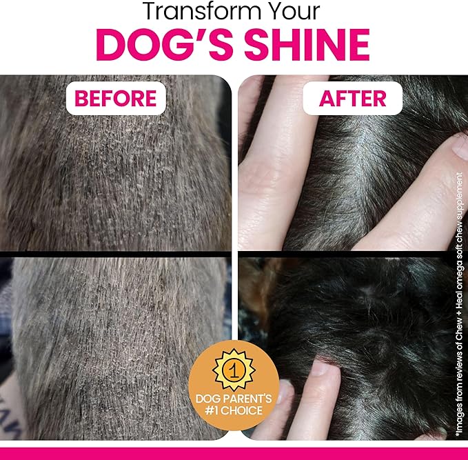 Omega 3 Powder for Dogs - 14 oz of Dog Powder Supplement for Skin and Coat - Made with Omega 3, 6, and 9 Fatty Acids, Biotin, and Vitamin C - Made in the USA