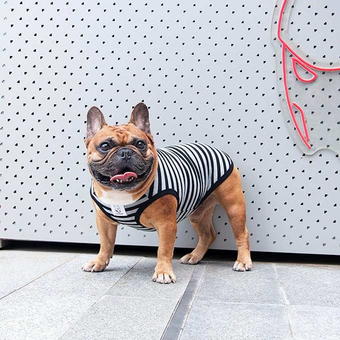 iChoue English Bulldog 100% Breathable Cotton Striped T Shirts Halloween Vest Clothes for Medium Dogs Tank Tops French Frenchie Pug Boston Terrier Pitbull Grey Black Stripes - XXLarge