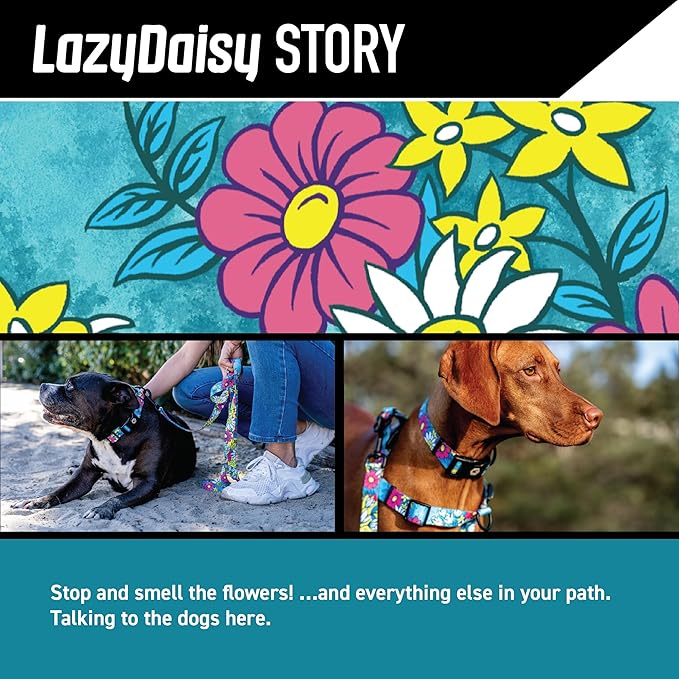 Wolfgang Heavy Duty Adjustable Dog Harness, Pull-Tested to Over 800 lbs for Walking & Training, LazyDaisy Print, Small