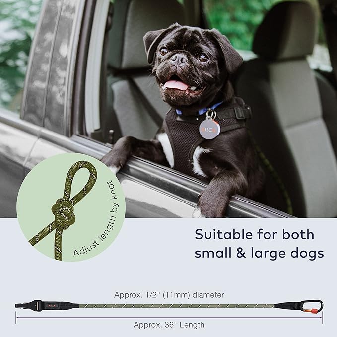 Travel Safety Bundle – First Aid Kit & Dog Seat Belt | Essential Pet Travel Accessories for Road Trips, Camping & Outdoor Adventures (Army Green)