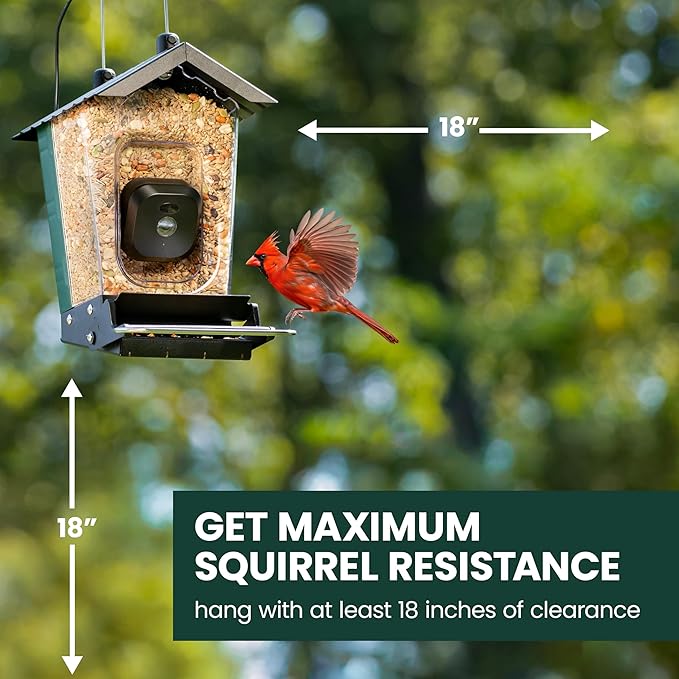 Perky-Pet Solar Powered Smart Bird Feeder with Camera - Squirrel-Resistant, 3.2L Capacity, Motion Activated 1080p HD WiFi Live Stream Camera, SPCAM, SPCAMSLR - Camera Feeder Gift Idea, Blue