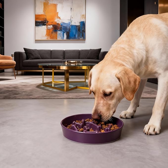 Ceramic Slow Feeder Dog Bowl, 1.5 Cup Dog Food or 20oz Water, Slow Eating Bowl for Small Breed, Maze Puzzle Feeder for Fast Eaters, Anti-Choking Stop Bloat, Non-Slip BPA Free (Purple)