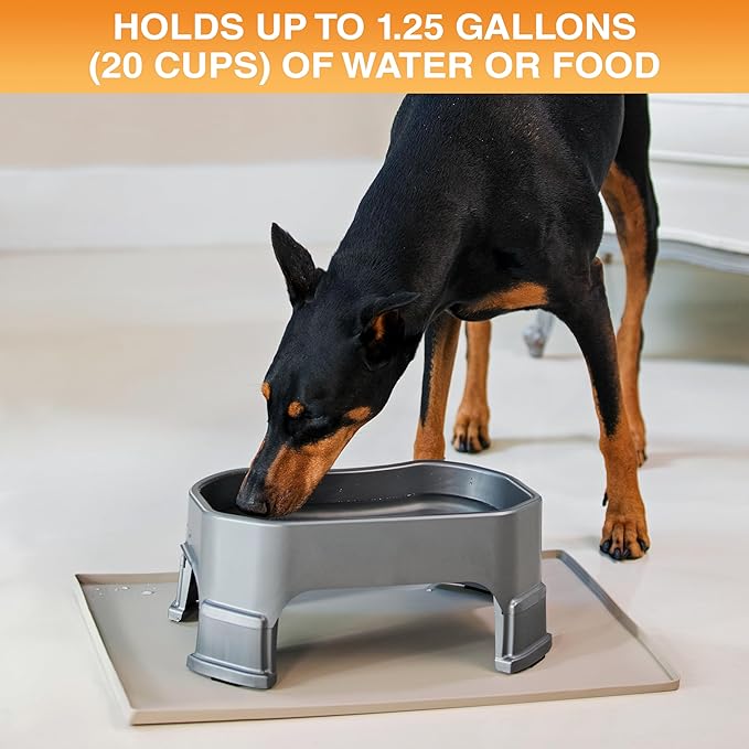 Neater Pet Brands Extra Large Water Bowl for Dogs, Elevated Outdoor Dog Water Bowl (1.25 Gallon XL Capacity), Big Trough Style Food Dish for Indoors or Outside, No Spill Large Dog Bowls, Gunmetal Grey