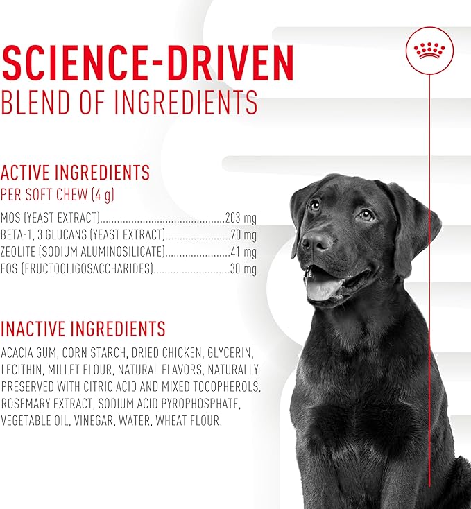 Royal Canin Digestive Dog Supplement Soft Chews for Adult Dogs, 60 Count (Pack of 3)