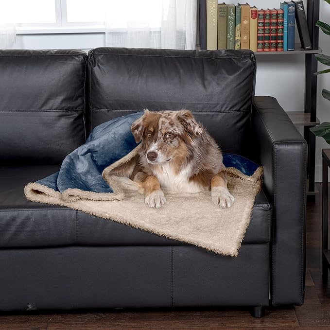 Furhaven Waterproof & Self-Warming Throw Blanket for Dogs & Indoor Cats, Washable & Reflects Body Heat - Soft-Edged Terry & Sherpa Dog Blanket - Cozy Denim, Large
