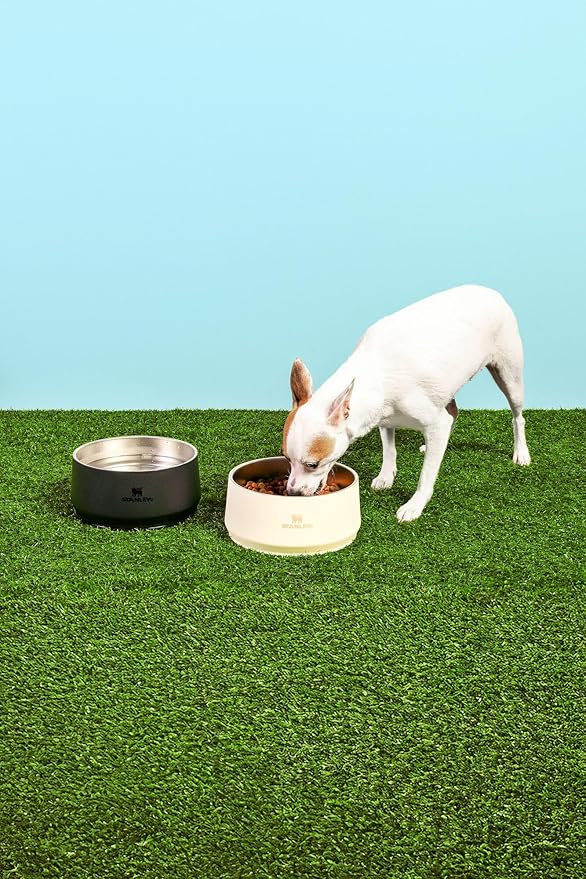 STANLEY Pet Bowl | 6-Cup (48 oz) Insulated Stainless Steel Dog & Cat Bowl | Splash-Resistant Lid | Dishwasher Safe | BPA-Free | Rose Quartz