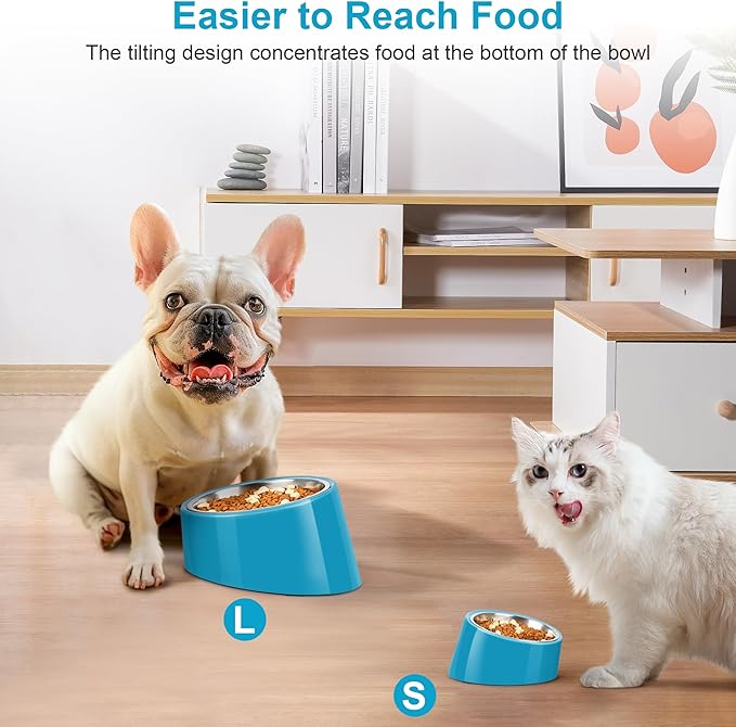 Tilted Dog Bowl Non-Slip & Non-Spill Pet Feeder with Elevated Detachable Melamine Stand, Easy to Get Food Dog Dish, L/300ml Blue