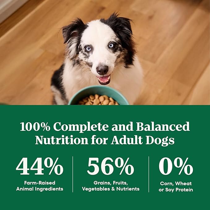 Nutro Natural Choice Adult Dry Dog Food, Chicken & Brown Rice Recipe, 5 lb. Bag