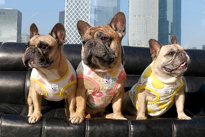 iChoue 100% Breathable Cotton French Bulldog Halloween Cartoon T Shirts Cute Clothes for Medium Dogs Vest Tank Tops Frenchie Pug Small Puppy English Boston Terrier Lemon - Large