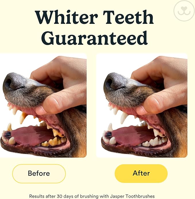 360° Pet Finger Toothbrush Kit — Dog & Cat Dental Care, 4-Pack (Blue)