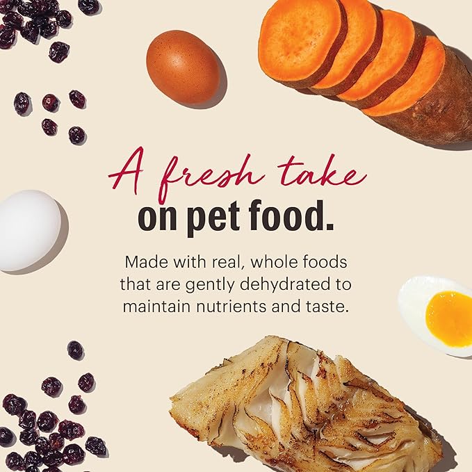 The Honest Kitchen Wholemade™ Dehydrated Grain Free Fish Dog Food, 10 lb Box