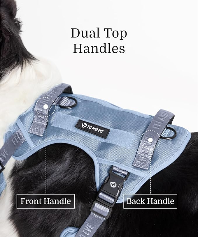 2025 New Edition, Fei & Eve Classic Dog Harness - Quick-Release Buckles | 3-Point No-Pull Control | Heavy-Duty 900D Nylon | Dual Safety Handles | Breathable Mesh | Adjustable Fit | Medium,Blue