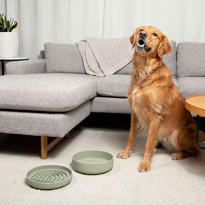 Should We Go? Dog Water Bowl - The Perfect Dish No-Spill, Less Mess Non-Tippable Water & Food Bowl, Pure Silicone with Suction Cup Fits 5 Cups 7.5" Across x 2.25" Tall Ideal for All Pets, Medium-Honey