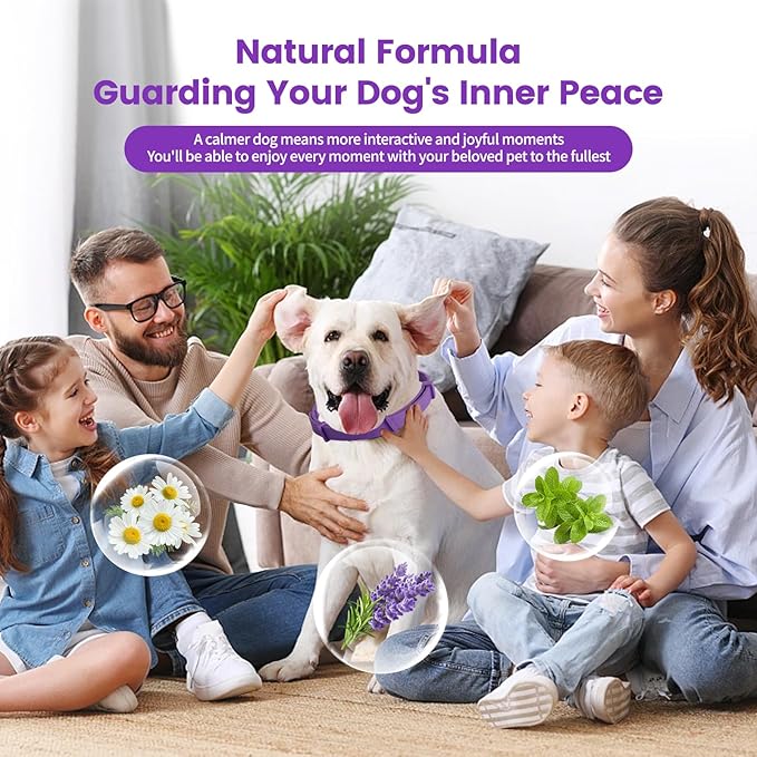 Calming Collar for Dogs – Fast-Acting, Lasts 60 Days, Choke-Free Design, Pheromone-Infused for Anxiety & Stress Relief – Dog Pheromone Collar for Small, Medium & Large Dogs (Aurora, 3 Pack)