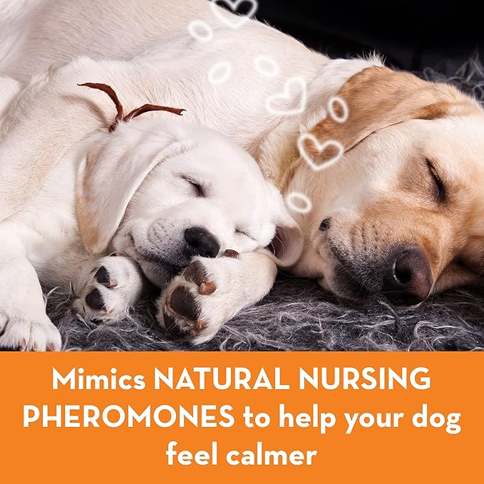 ThunderEase Dog Calming Pheromone Diffuser Kit-Powered by ADAPTIL-Vet Recommended to Relieve Separation Anxiety, Stress Barking & Chewing, & Fear of Fireworks & Thunderstorms(30 Day Supply)(Pack of 2)