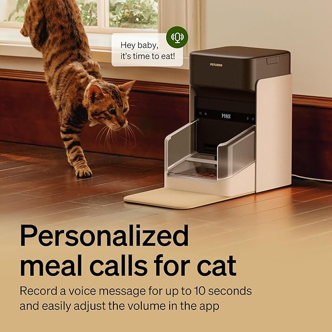RFID Smart Cat Feeder for 3 Cats — 5G WiFi, App Control, Collar Tag Activated