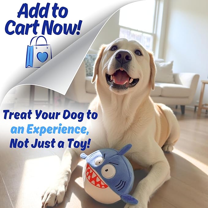 3 in 1 Squeaky Soft Plush Durable Dog Chew Toy for Aggressive Chewers, No Stuffing Interactive Tough Rip & Reveal Crinkle Blue Shark Ball in Gift Box, Puppy, Small & Large Breed Pets Birthday Present