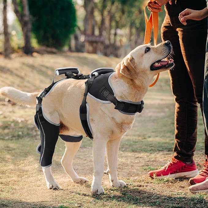 Dog Knee Support for ACL Tear Rehabilitation and Dislocated Patella -Adjustable Leg Support and Sufficient Breathability,Injury Recovery and Balance Assistance-Right Leg-L Size