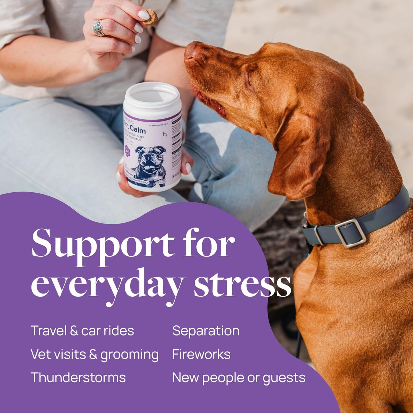 Daily Calm Chews – Vet-Formulated Stress Relief + 60-Day Supply