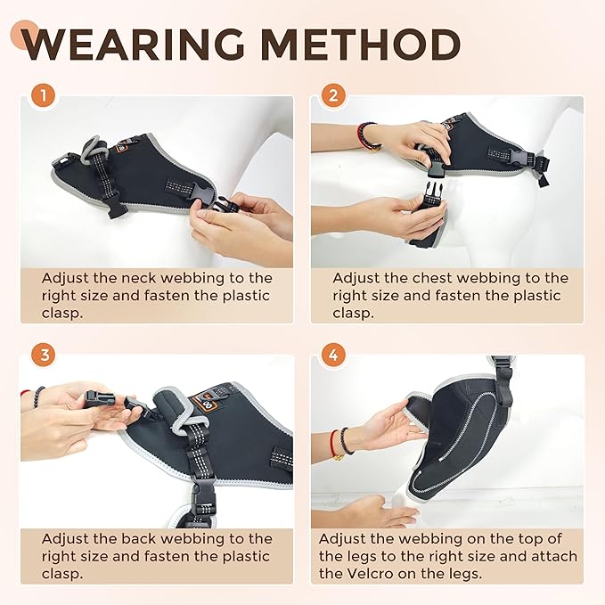Dog Knee Support for ACL Tear Rehabilitation and Dislocated Patella -Adjustable Leg Support and Sufficient Breathability,Injury Recovery and Balance Assistance-Left Leg-M Size