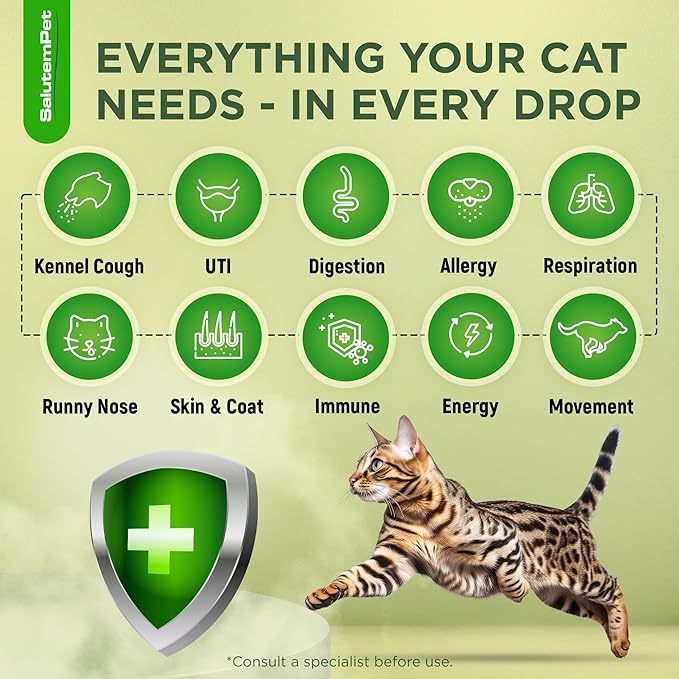 Cat Antibiotic for Infections, UTIs, Respiratory Moments, Cold, & Allergies | Antibiotics for Cats of All Ages & Breeds | Liquid Form | Natural Supplement with Chicken Flavor | 2 Oz